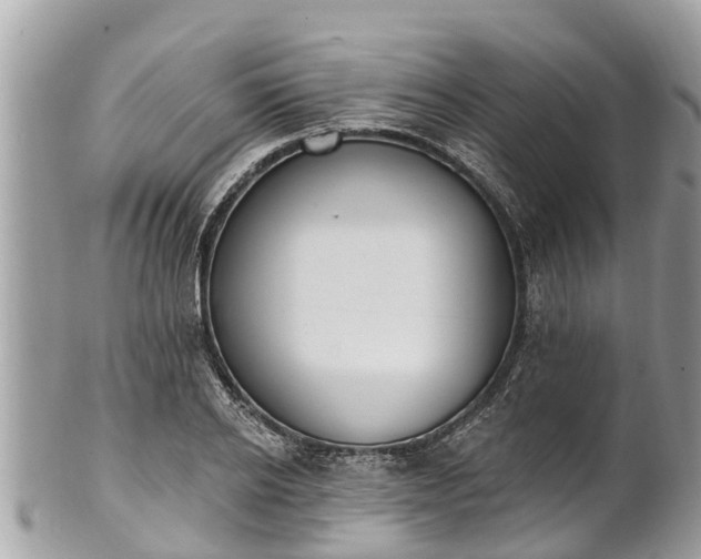 X0000101230934200807071408