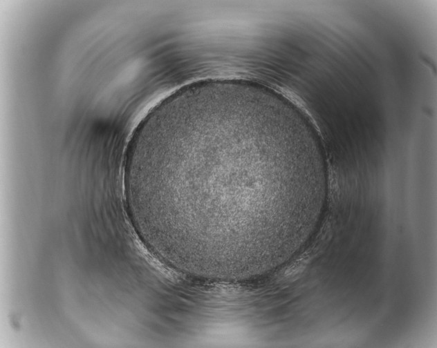 X0000101230935200807071408