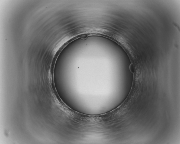 X0000101230936200807071408