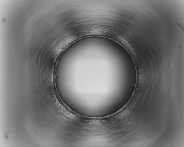 X0000101230938200807071408