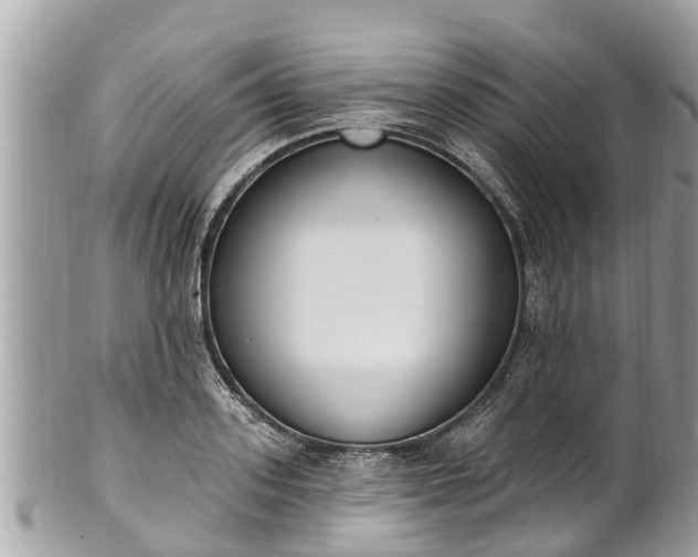 X0000101230939200807071408