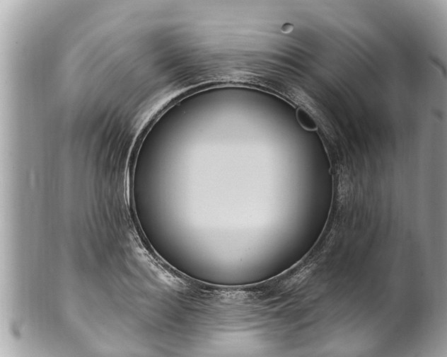 X0000101230940200807071408