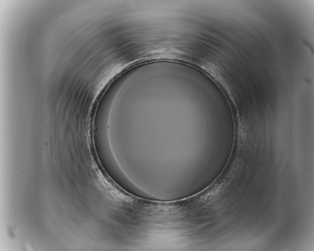 X0000101230941200807071408