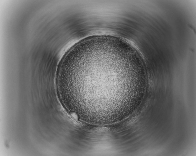 X0000101230943200807071409