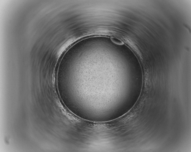 X0000101230944200807071409