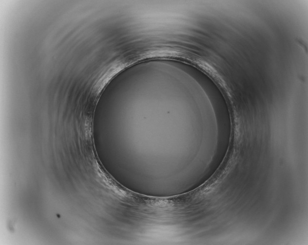 X0000101230945200807071409