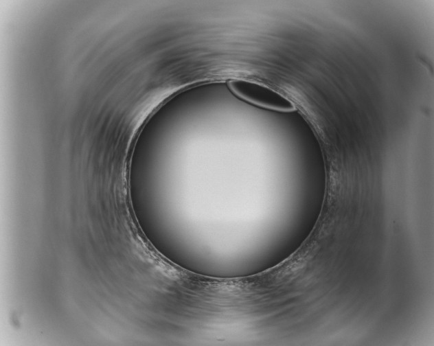 X0000101230948200807071409