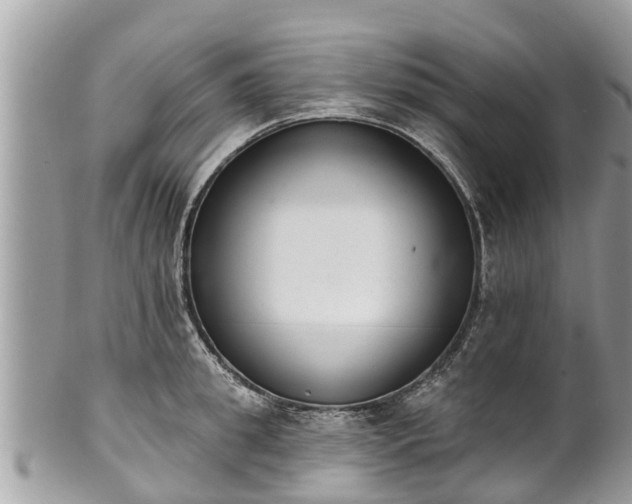 X0000101230949200807071409