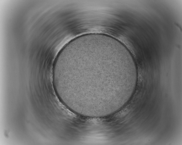 X0000101230950200807071409