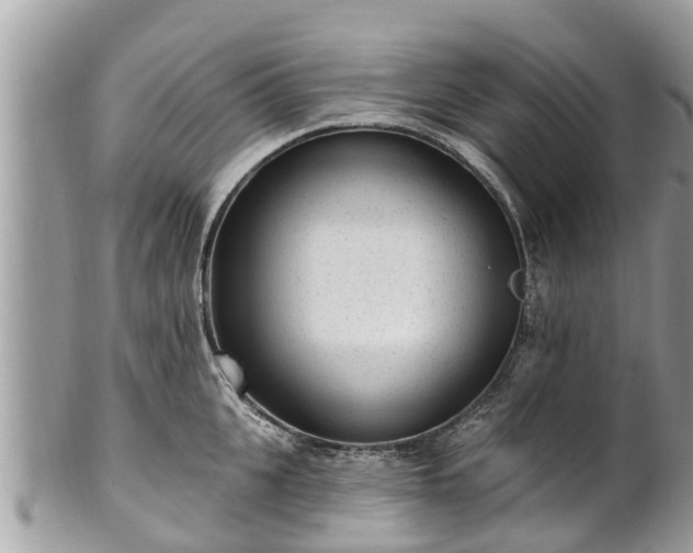 X0000101230951200807071409