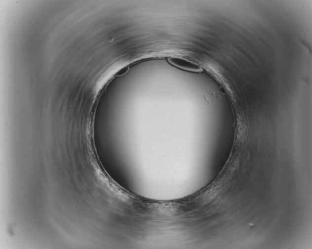 X0000101230952200807071409