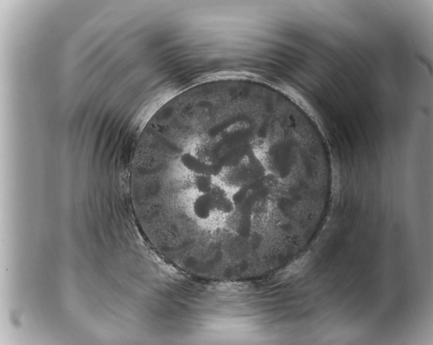 X0000101230953200807071409