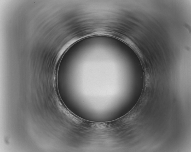 X0000101230955200807071409