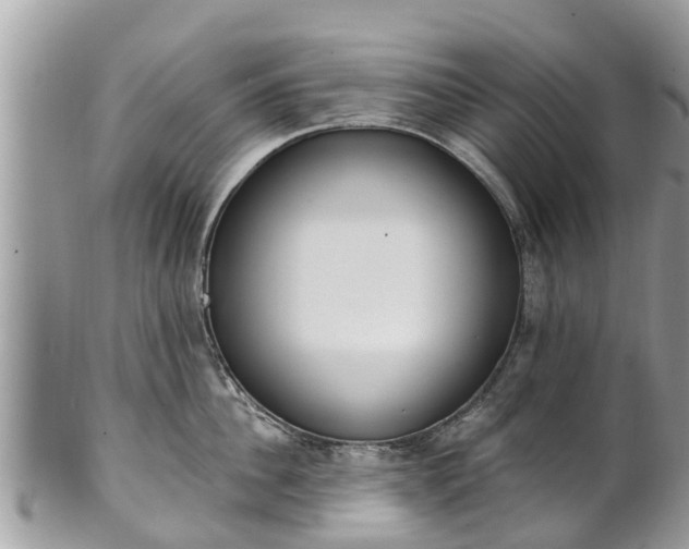 X0000101230956200807071409