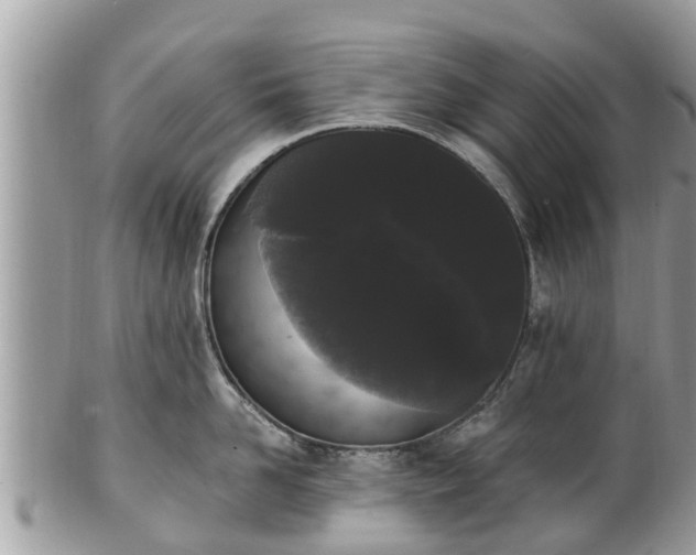 X0000101230958200807071409