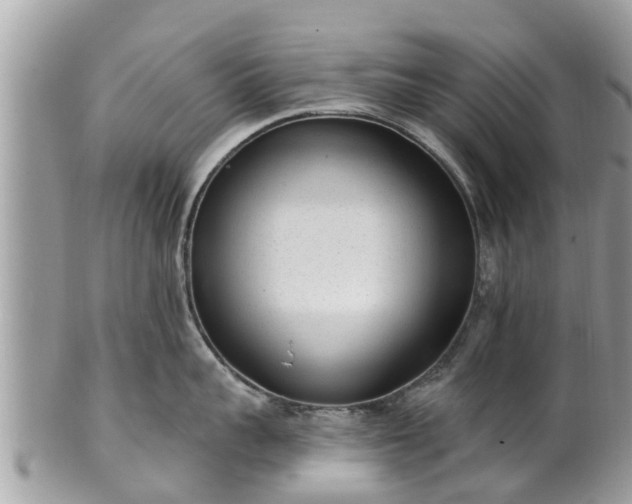 X0000101230959200807071409