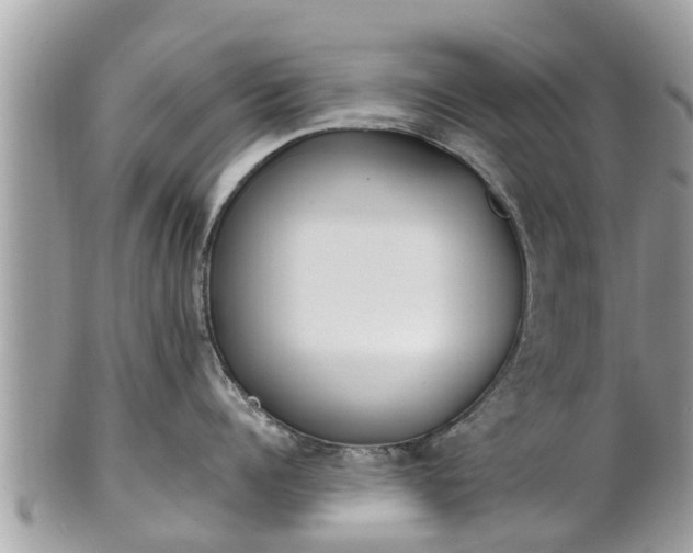 X0000101230960200807071409