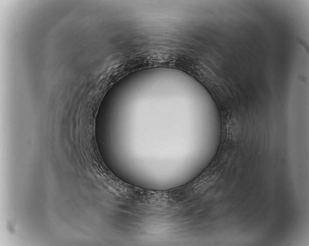 X0000101230961200807071408