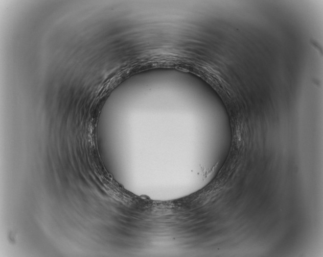 X0000101230964200807071408