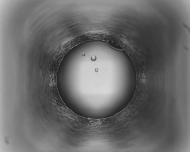 X0000101230965200807071408