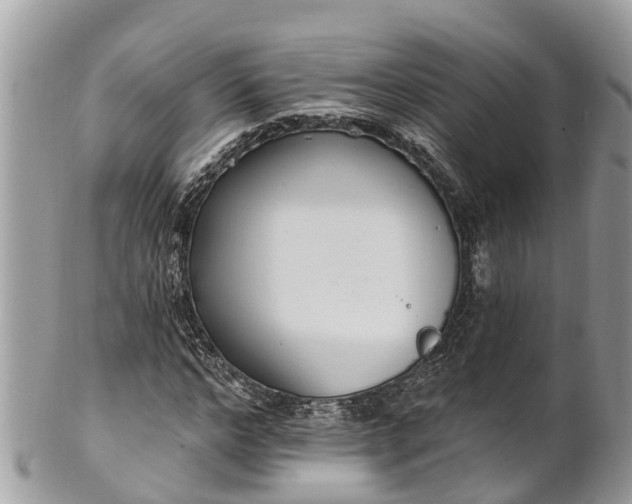 X0000101230968200807071408