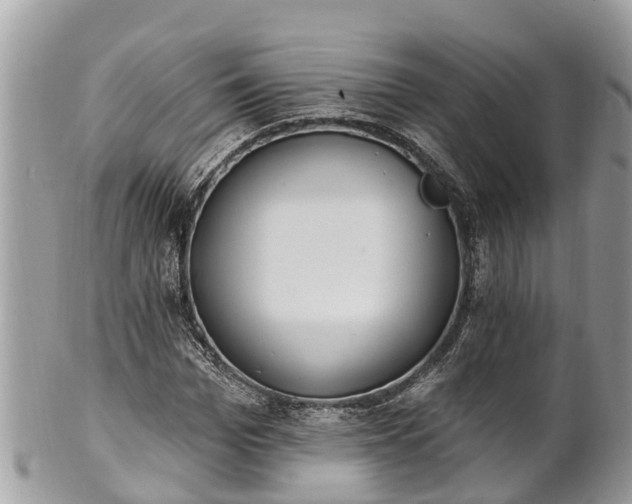 X0000101230969200807071408