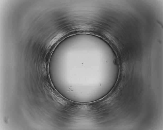 X0000101230970200807071408