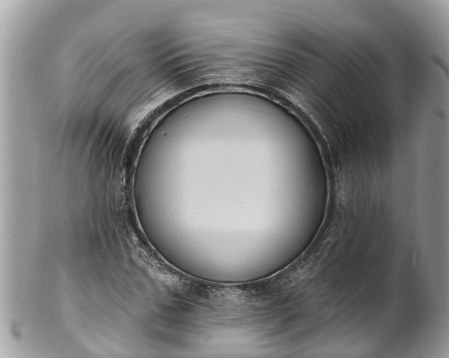 X0000101230971200807071408