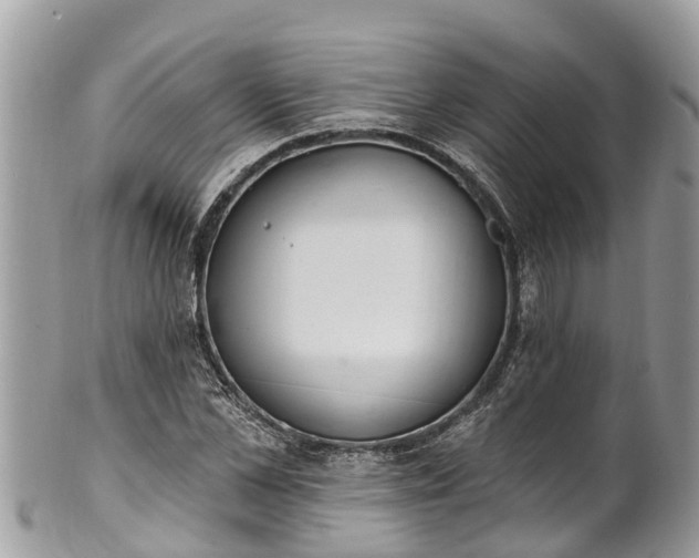 X0000101230973200807071408