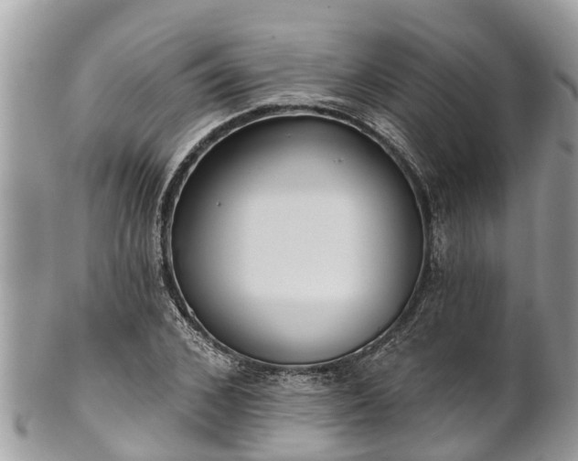 X0000101230976200807071408