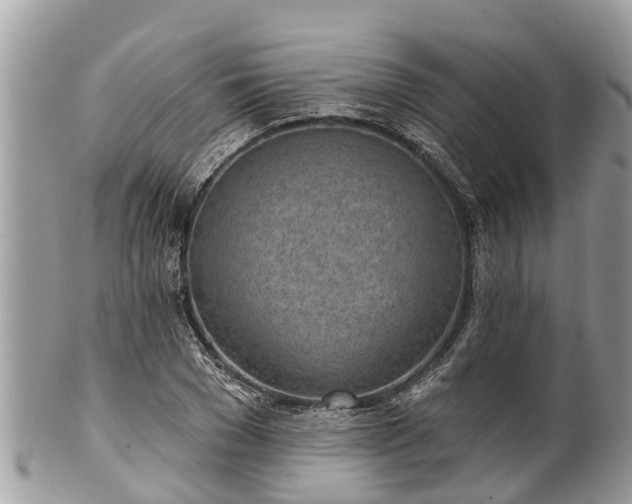 X0000101230977200807071408