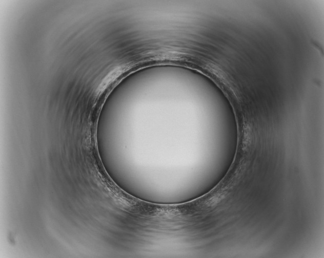 X0000101230978200807071408