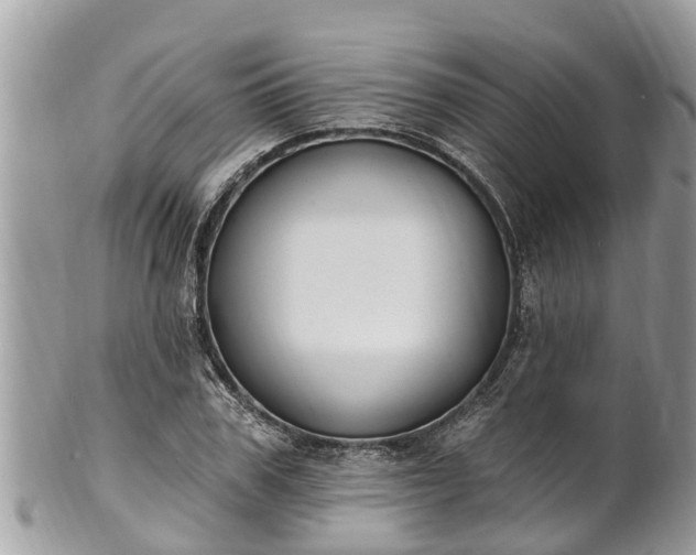 X0000101230979200807071408