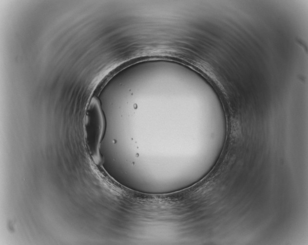 X0000101230980200807071408