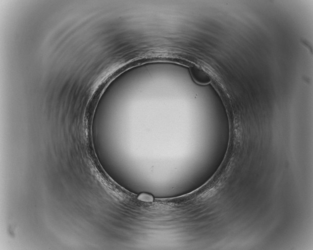 X0000101230981200807071408