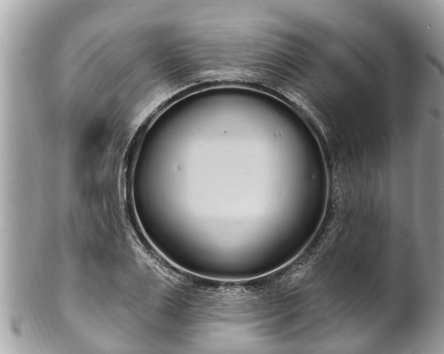 X0000101230983200807071408