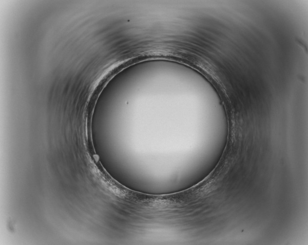 X0000101230984200807071408