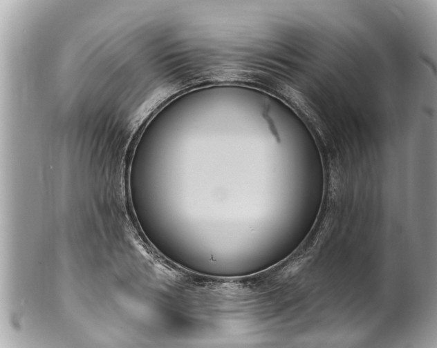 X0000101230986200807071408