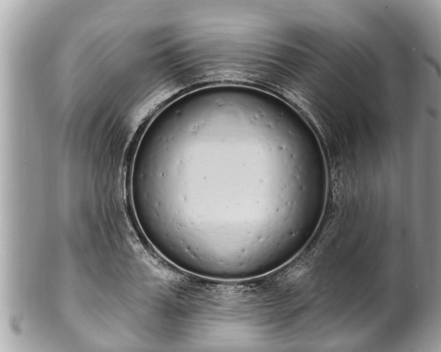 X0000101230987200807071408