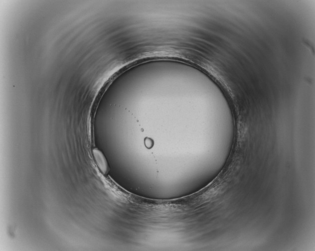 X0000101230988200807071408