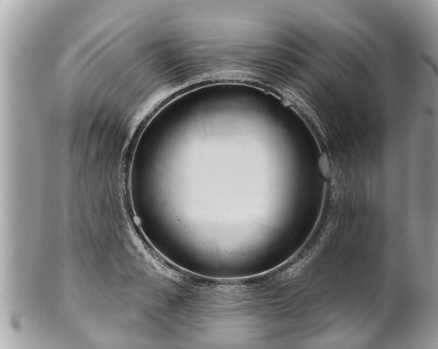 X0000101230989200807071408