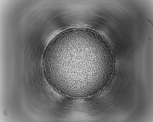 X0000101230990200807071407