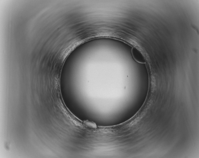 X0000101230993200807071407