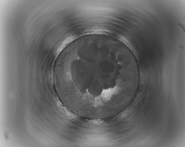 X0000101230994200807071407