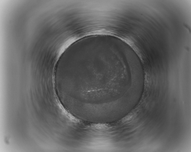 X0000101230998200807071407