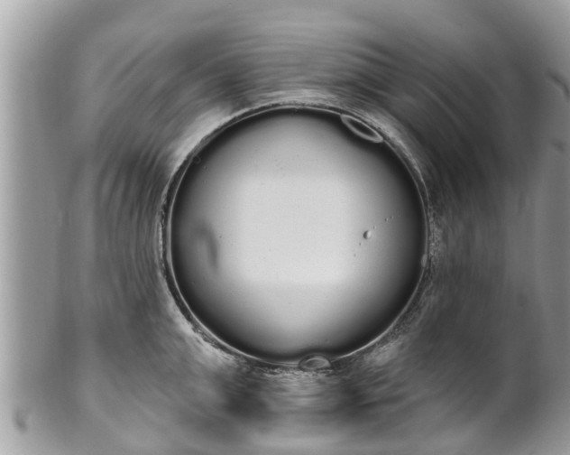 X0000101230999200807071407