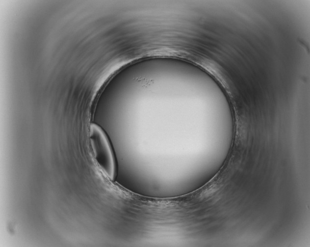 X0000101231000200807071407