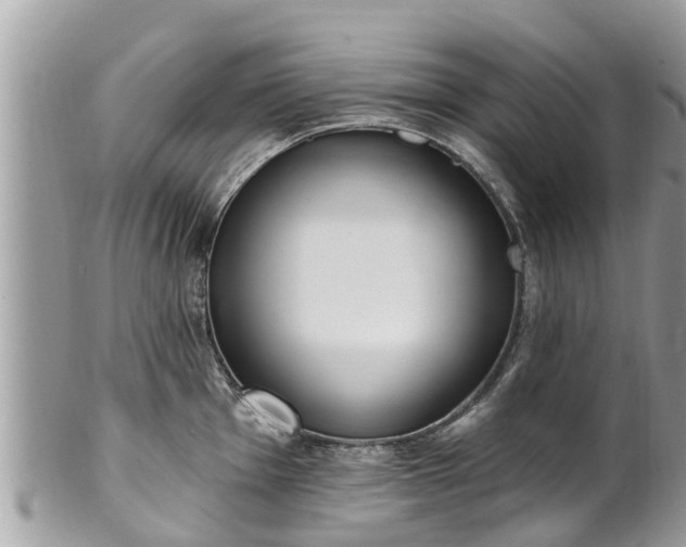 X0000101231001200807071407