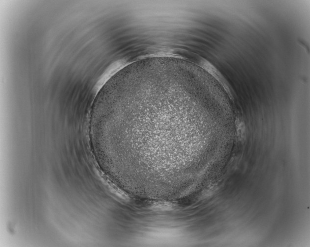 X0000101231002200807071407