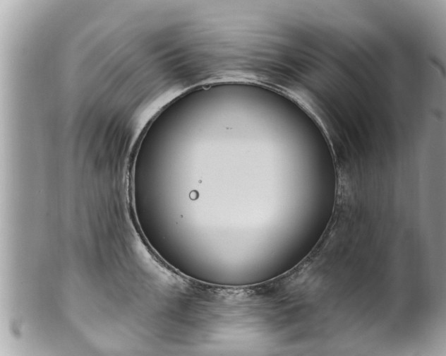 X0000101231003200807071407